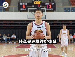多维度球员,什么是球员评价体系,如何分析3D球员价值,进步最快球员标准是什么
