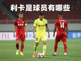 利卡球员有哪些,利卡是哪个球队的,利卡球员表现如何,如何区分不同利卡球员