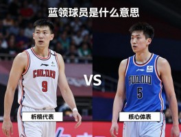 蓝领球员是什么意思,和核心球员有什么区别,典型代表有哪些