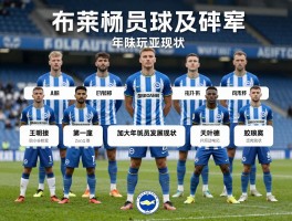 布莱顿球员,2025赛季阵容有哪些核心球员,球队战术体系如何构建,年轻球员发展现状