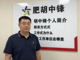 合肥胡中锋,胡中锋个人简介,联系方式是什么,工作单位在哪里