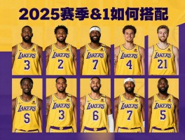 湖人队有多少个球员,2025赛季阵容如何搭配,核心球员有哪些特点