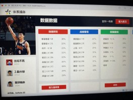 街头篮球怎么看数据,能力值查看方法,战绩查询技巧,数据分析秘诀