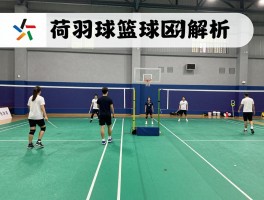 荷球篮球区别解析：为何荷球男女同场竞技,荷球篮筐为何更高,两种运动如何选择？