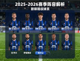 国米现役球员,2025-2026赛季阵容解析,主力框架如何构建,欧冠名单有哪些球员