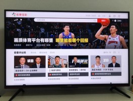 看篮球录播,免费平台有哪些,哪里能看全场回放,如何选择合适平台,画质与解说哪个重要