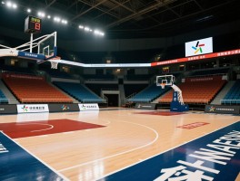 篮球场投资需要多少资金，如何盈利，回报周期多长