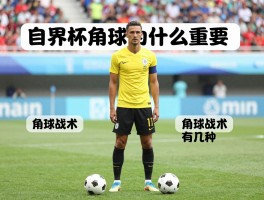 什么是角球世界杯,判罚规则是怎样的,角球战术有几种,世界杯角球为什么重要