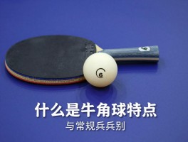 什么是牛角球乒乓球,器材选择,技术特点,与常规乒乓球区别
