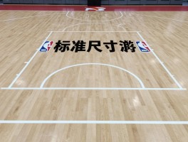 篮球比赛场地是,标准尺寸是多少,和NBA有什么区别,画线有什么要求