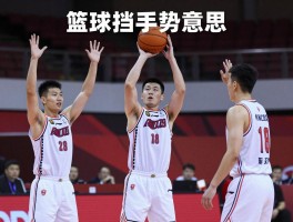 篮球挡拆手势是什么意思,有哪些常见手势,如何正确使用,与战术配合的关系