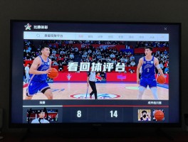 看回放篮球，免费平台有哪些选择，如何快速找到特定赛事，高清画质如何保障