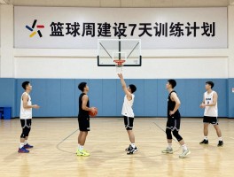 篮球周建设,如何制定7天训练计划,团队凝聚力怎么提升,预期效果有哪些