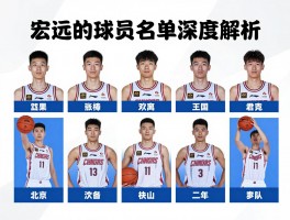 宏远的球员名单深度解析,新赛季阵容如何变化,核心球员有哪些特点,球队实力如何评估