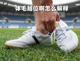 鞋钉越位是什么意思啊怎么解释,体毛越位判罚标准,VAR技术如何精准到毫米