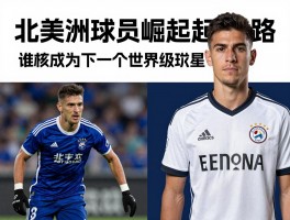 北美洲球员崛起之路,谁将成为下一个世界级球星,美职联高薪引援影响几何？