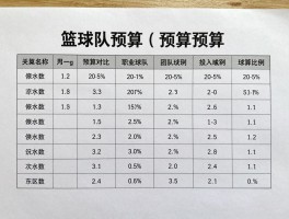 篮球队预算,如何制定合理方案,预算分配比例,职业球队投入多少