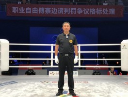 自由搏击裁比赛边裁,评分标准如何确定,判罚争议怎样处理,职业发展路径有哪些