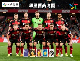 勒沃库森球员及照片：最新阵容有哪些变化，球星卡如何收集，哪里看高清图？