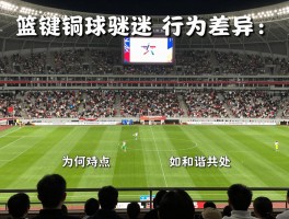 篮球迷和足球迷,文化差异,行为特点,为何对立,如何和谐共处