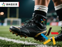 挂靴球员面临哪些挑战,如何转型,怎样重启人生