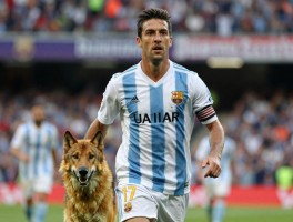 传奇球员古蒂,他的传奇生涯如何,为什么叫金狼,退役后做什么？