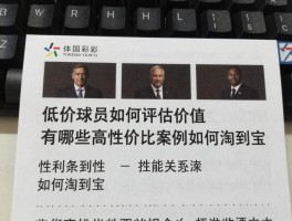 低价球员如何评估价值,有哪些高性价比案例,如何淘到宝