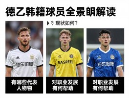 德乙韩籍球员全景解读：现状如何？,有哪些代表人物？,对职业发展有何帮助？