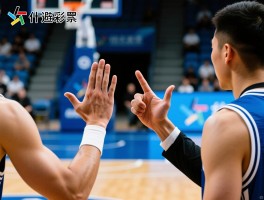 蓝球赛什么是技术犯规,技术犯规手势怎么比划,如何避免技术犯规处罚