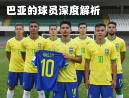 巴西的球员深度解析,巴西球员什么水平,如何成为职业球员,青训体系如何运作