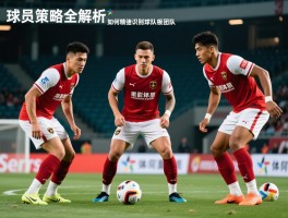 补球员策略全解析,如何精准识别球队短板,补强球员应考虑哪些因素,新援如何快速融入团队