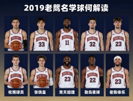 老鹰队球员名单2019,阵容如何解读,核心球员有谁,赛季表现怎样