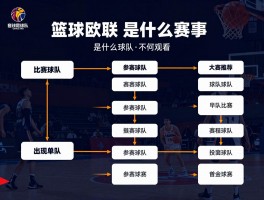 篮球欧联,是什么赛事,参赛球队有哪些,赛制如何理解,哪里可以观看
