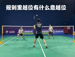 羽毛球越位是什么意思,规则里到底有没有越位,如何判断羽毛球位置犯规,单双打站位区别