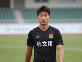 杜文翔球员：职业生涯如何转型,现状怎样,成就哪些？
