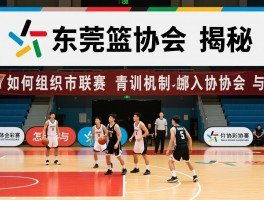 东莞篮球协会揭秘,如何组织市联赛,青训机制有哪些,怎样加入协会参与