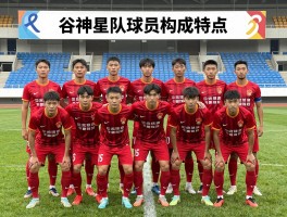 谷神星队球员构成特点,归化球员有多少,球队战术风格是什么
