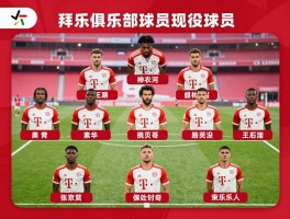 拜仁俱乐部球员,有哪些传奇球星,现役阵容如何,谁是最佳球员