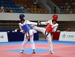 跆拳道什么是技术犯规,技术犯规如何判罚,比赛中哪些行为算犯规,判罚分几种类型