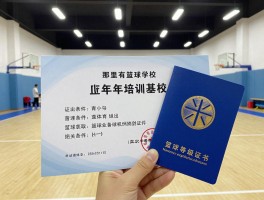 那里有篮球学校，如何选择正规机构，青少年培训基地有哪些，篮球等级证书怎么获取