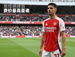 阿森纳球员丨身价最高是谁,现任队长是谁,历史最佳有哪些