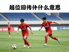越位回传是什么意思,越位回传判罚条件,越位回传示例分析