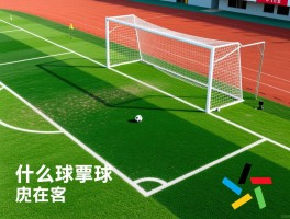 什么是球门球角球区,判罚条件有哪些,位置怎么划分,规则有何不同