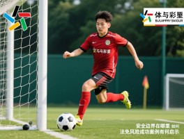 扮球员丨安全边界在哪里,如何避免法律风险,成功案例有何启示