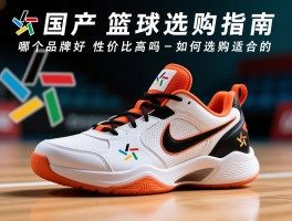 国产篮球鞋选购指南,哪个品牌好,性价比高吗,如何选购适合的