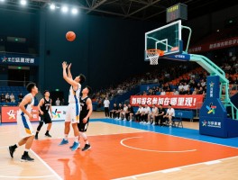 密云篮球赛有哪些比赛,如何报名参加,在哪里观赛