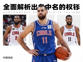 全面解析出名的中锋，如何评判中锋实力,中锋历史排名谁更权威,现代中锋需要什么技能