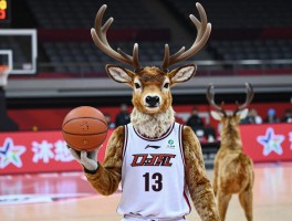 篮球什么鹿,有哪些球队或吉祥物以鹿为名,其设计灵感源自何处