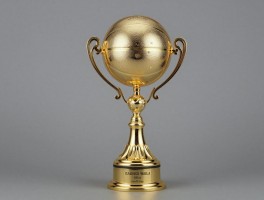 篮球金杯有哪些种类,金杯的含金量如何,篮球金杯代表什么