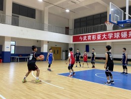 篮球学校,如何选择适合的篮球学校,招生要求有哪些,学费和前景如何